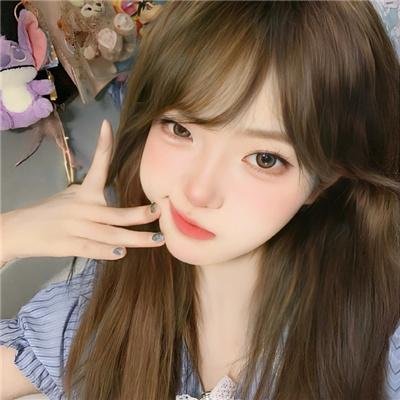 挎斗摩托车里的狗